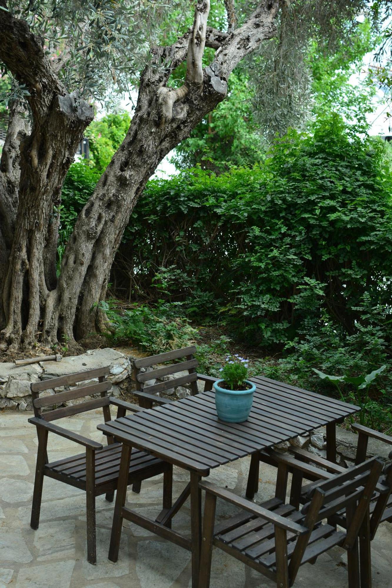 Greekowl Apartments Σκιάθος Πόλη Εξωτερικό φωτογραφία