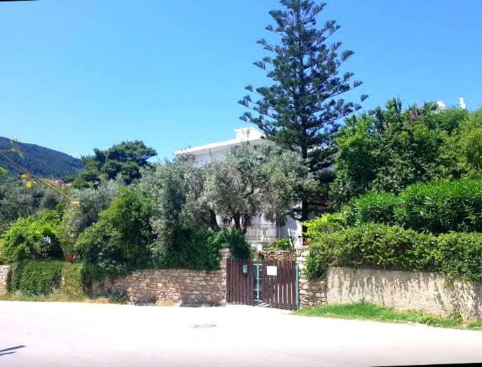 Greekowl Apartments Σκιάθος Πόλη Δωμάτιο φωτογραφία